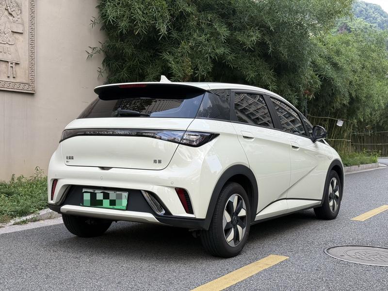 BYD Dolphin, 2025 — фото 6 из 12
