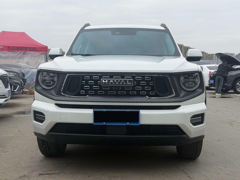 Haval H-Dog, 2023 — фото 2 из 10