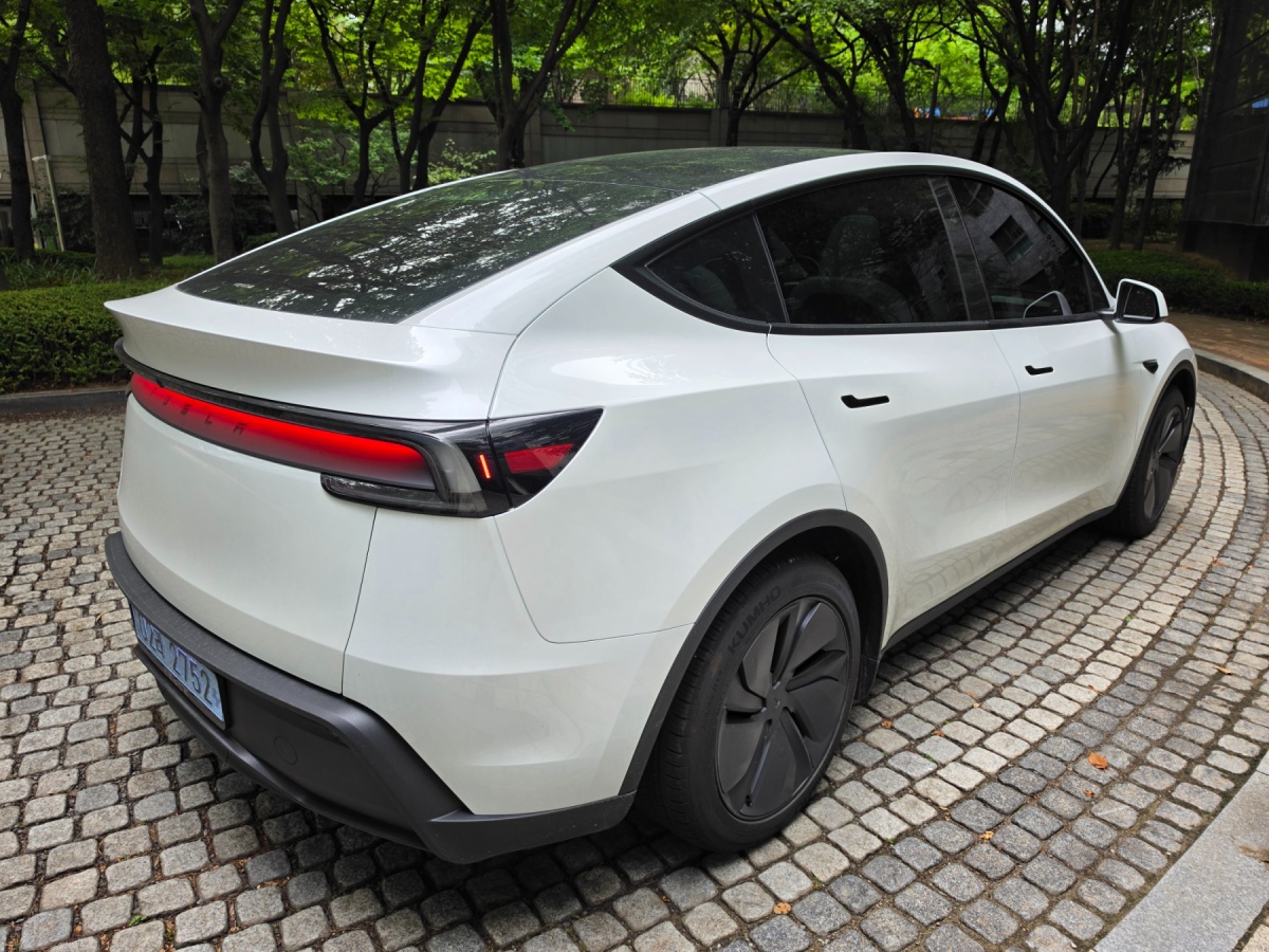 Tesla Model Y, 2025 — фото 4 из 12