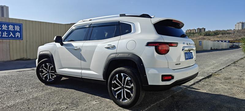 Haval H-Dog, 2025 — фото 5 из 12
