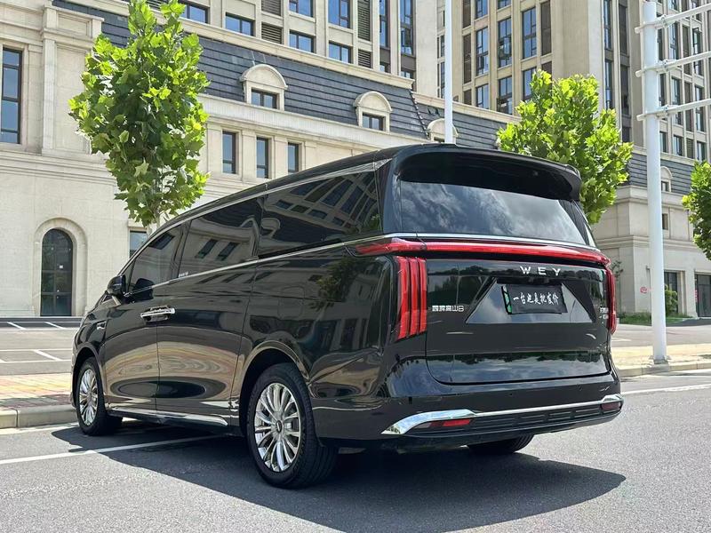 Wey 80 Hybrid, 2025 — фото 4 из 12