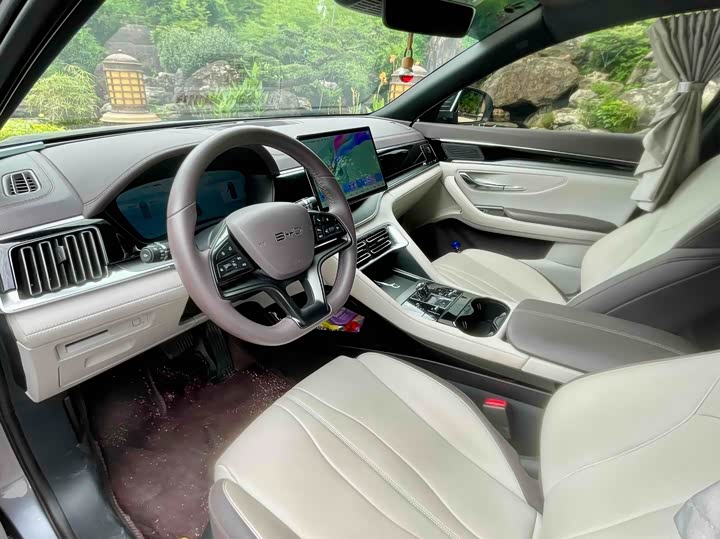 BYD Song Plus Hybrid/EV, 2024 — фото 6 из 7