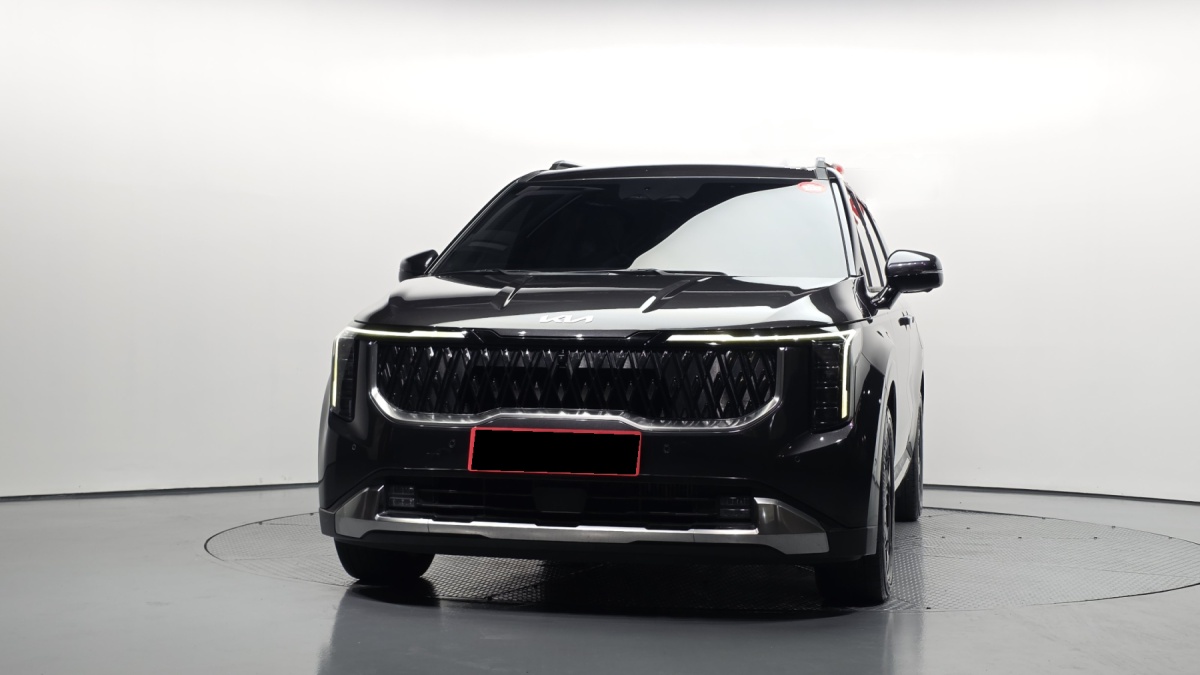 Kia Carnival, 2024 — фото 3 из 12