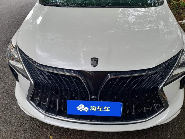 Dongfeng Forthing Yacht, 2022 — фото 2 из 9