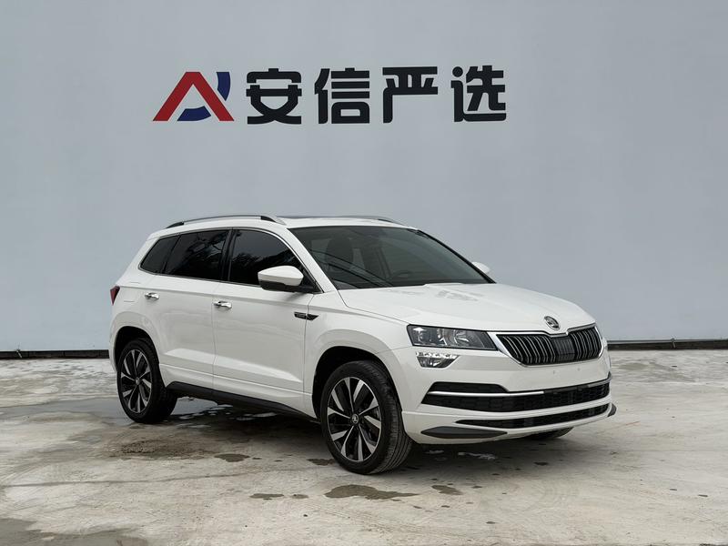 Skoda Karoq, 2021 — фото 3 из 12