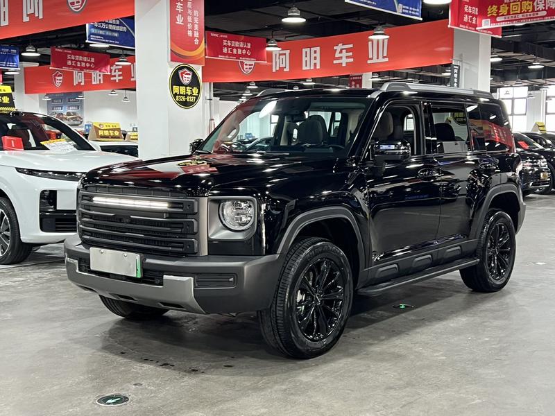 Haval Raptor Hybrid, 2024 — купить в Саранске под ключ