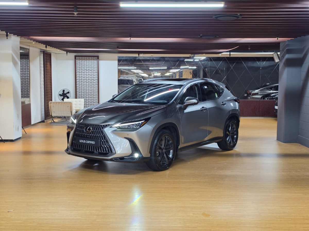 Lexus NX, 2025 — купить в Самаре под ключ
