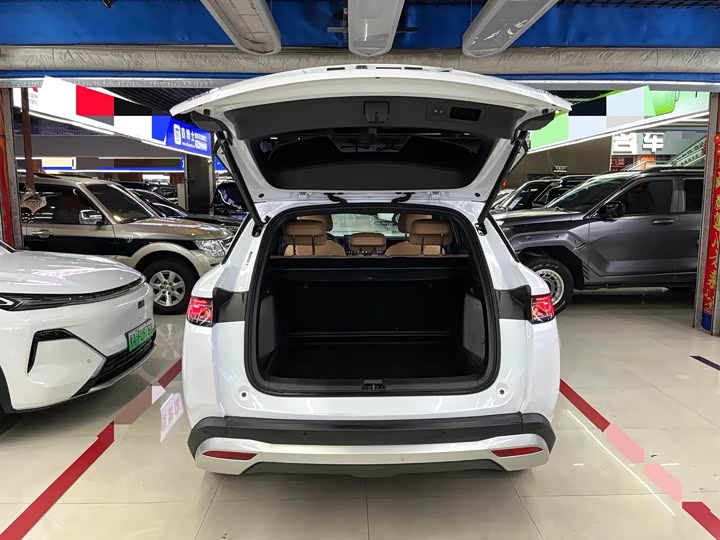 BYD Song L DM-i Hybrid, 2024 — фото 7 из 9
