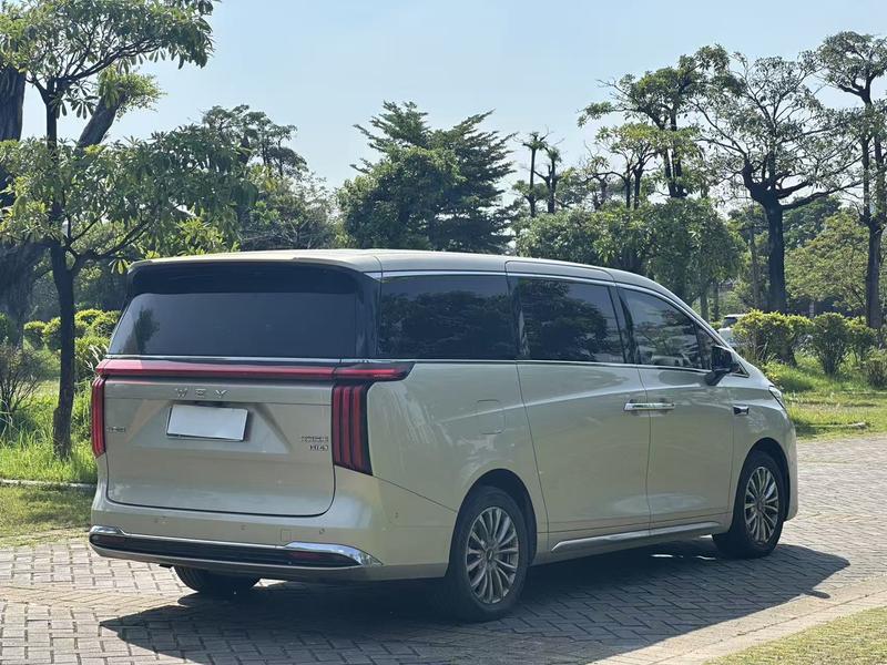 Wey 80 Hybrid, 2025 — фото 6 из 12