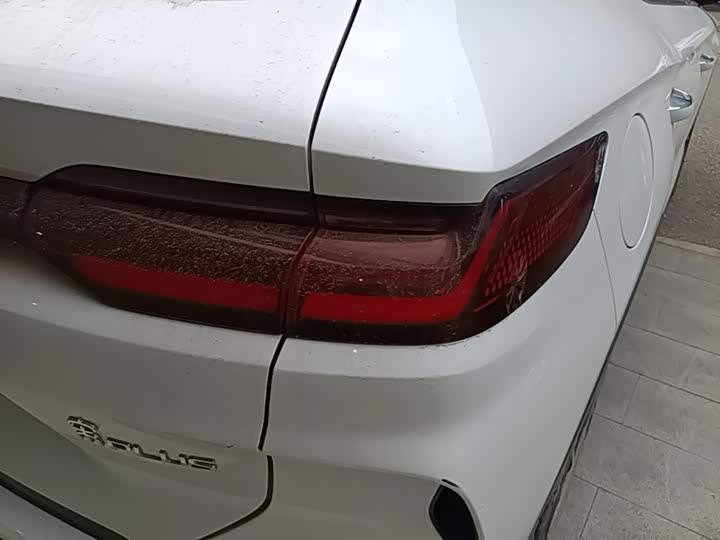 BYD Song Plus Hybrid/EV, 2024 — фото 8 из 9
