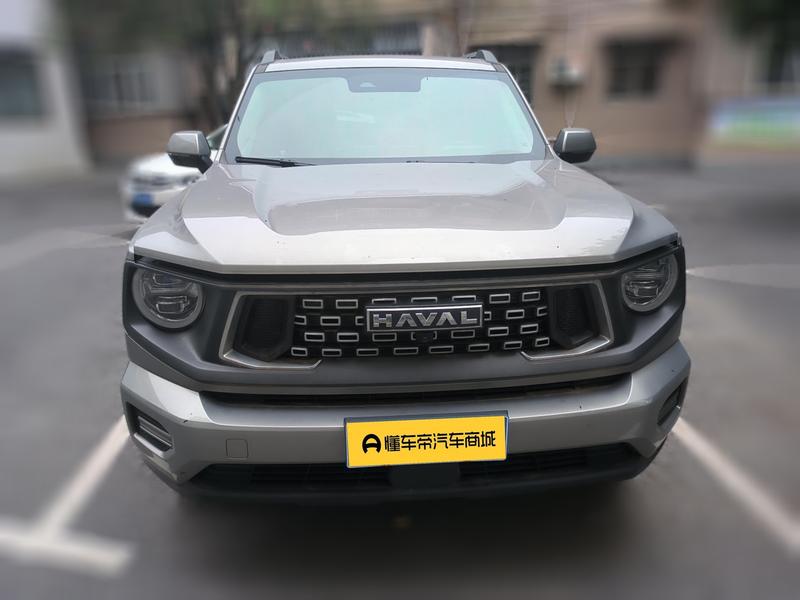 Haval H-Dog, 2023 — фото 2 из 12