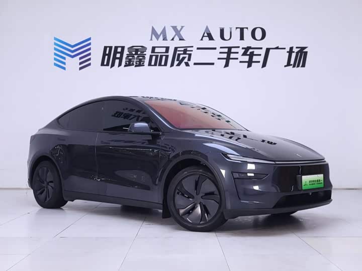Tesla Model Y, 2025 — фото 5 из 9