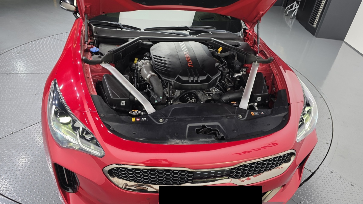Kia Stinger, 2022 — фото 6 из 12