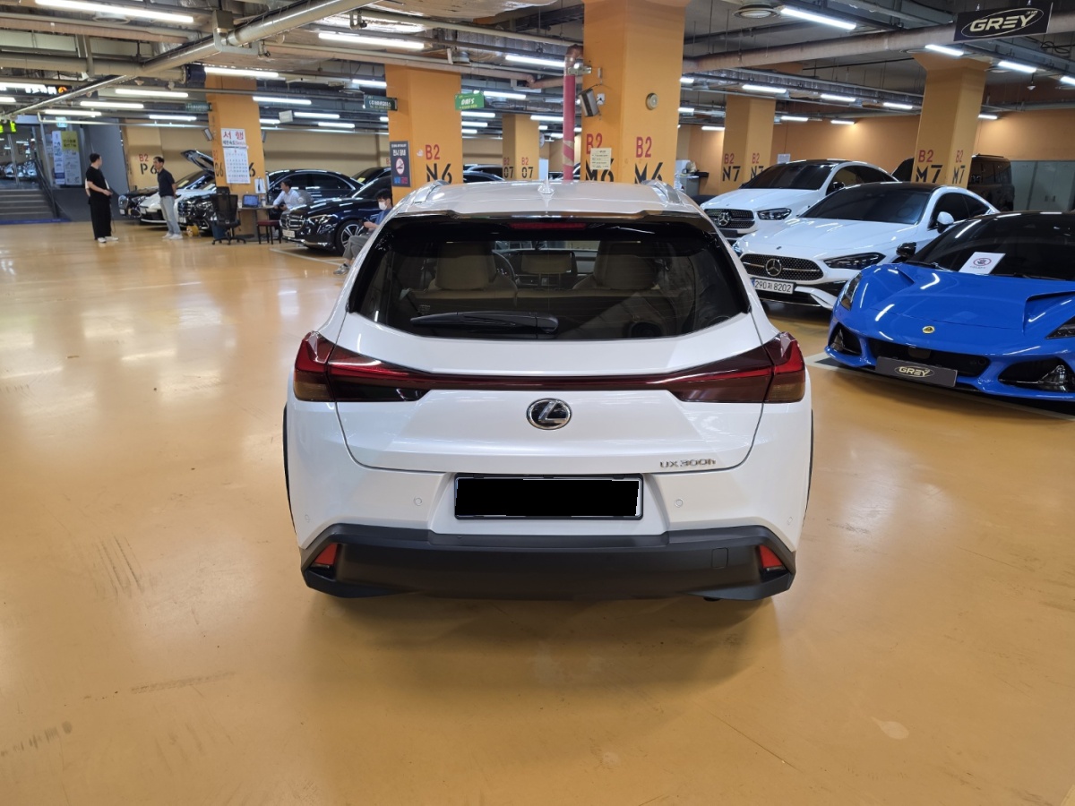Lexus UX, 2025 — фото 4 из 12