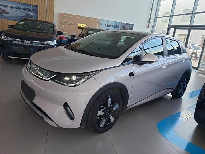 BYD Dolphin, 2025 — купить в Пензе под ключ