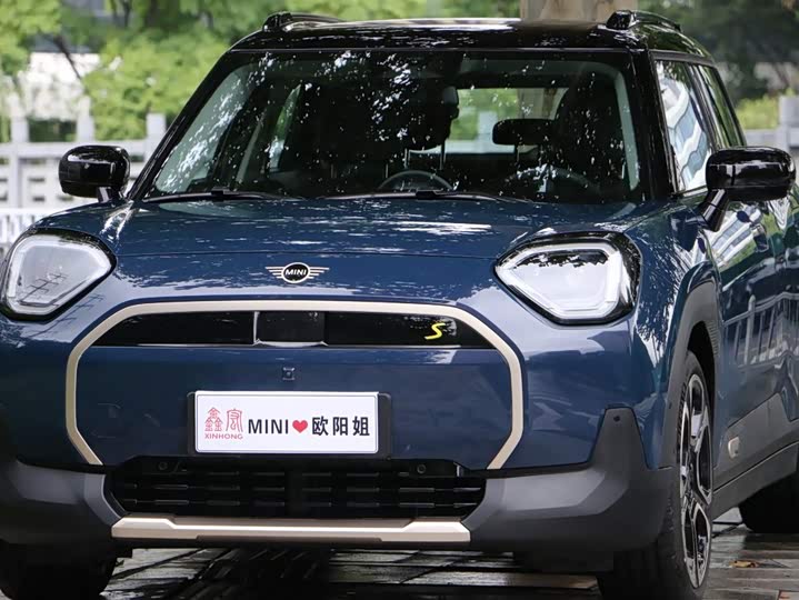 Mini Aceman, 2024 — купить в Белгороде под ключ