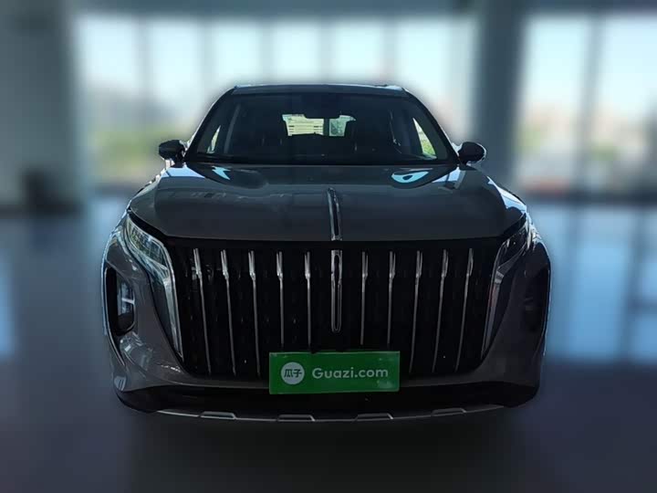 Hongqi HS7 Hybrid, 2024 — фото 5 из 9