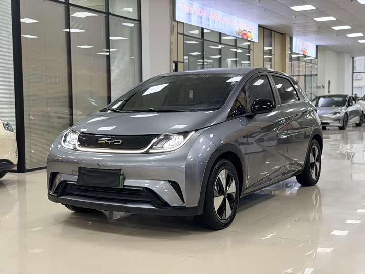 BYD Dolphin, 2023 — купить в Санкт-Петербурге под ключ