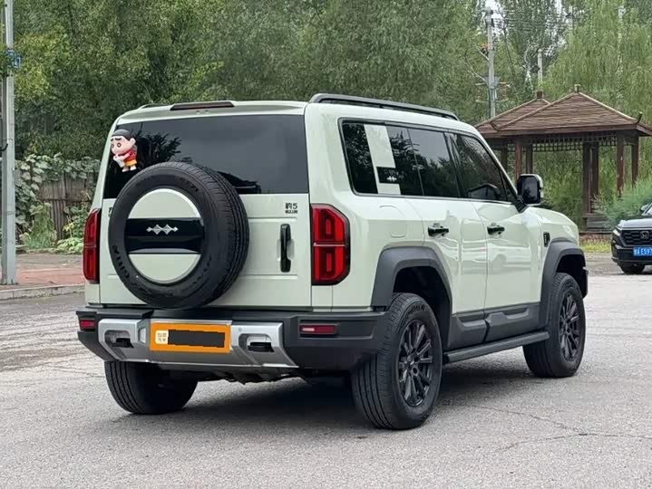 BYD FangChengBao Leopard 5, 2025 — фото 6 из 9
