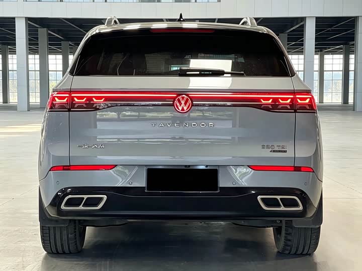 Volkswagen Tavendor, 2023 — фото 5 из 9