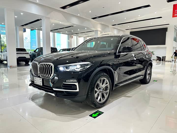 BMW X5 Hybrid, 2023 — фото 2 из 9