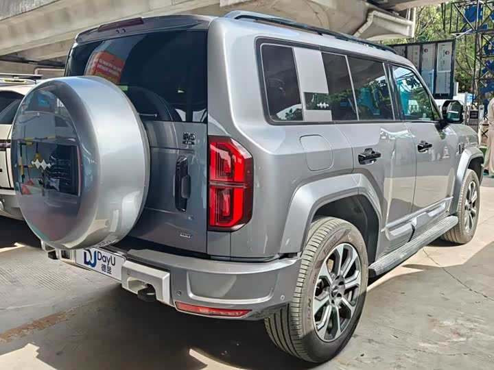 BYD FangChengBao Leopard 5, 2024 — фото 4 из 9