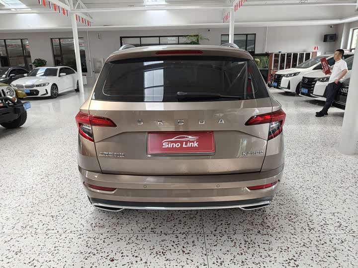 Skoda Karoq, 2023 — фото 6 из 9