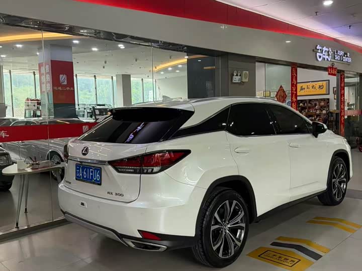 Lexus RX, 2021 — фото 3 из 9