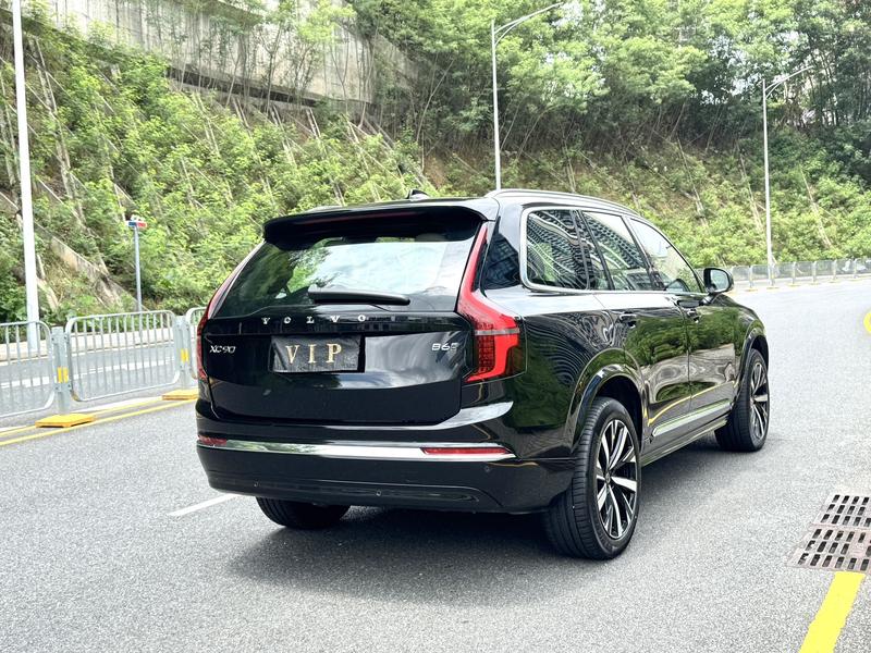 Volvo XC90, 2025 — фото 6 из 12