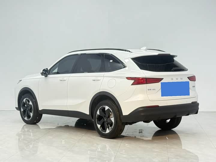 Haval H6L, 2025 — фото 7 из 9