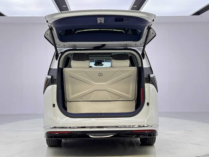 Buick GL8 Hybrid, 2024 — фото 9 из 9