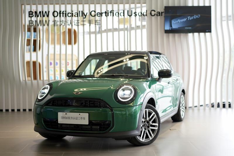 Mini Mini, 2024 — купить в Липецке под ключ
