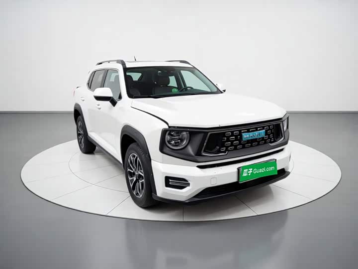 Haval H-Dog Hybrid, 2023 — фото 3 из 9