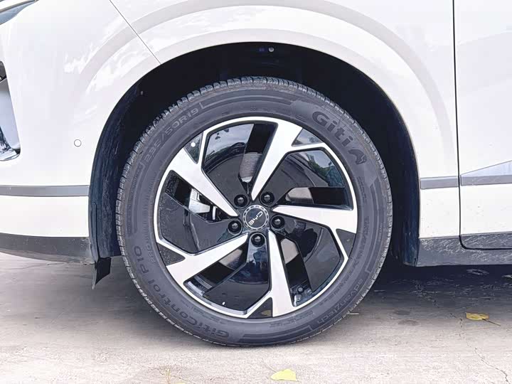 BYD Sea Lion 06 Hybrid/EV, 2025 — фото 3 из 9