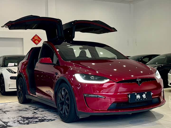 Tesla Model X, 2023 — фото 3 из 9