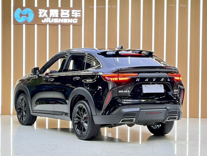 Haval H6S, 2021 — фото 4 из 12