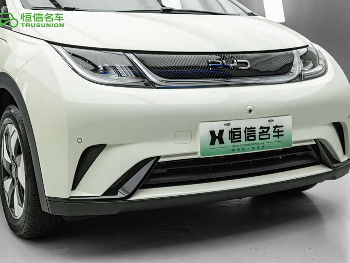 BYD Dolphin, 2024 — фото 9 из 9