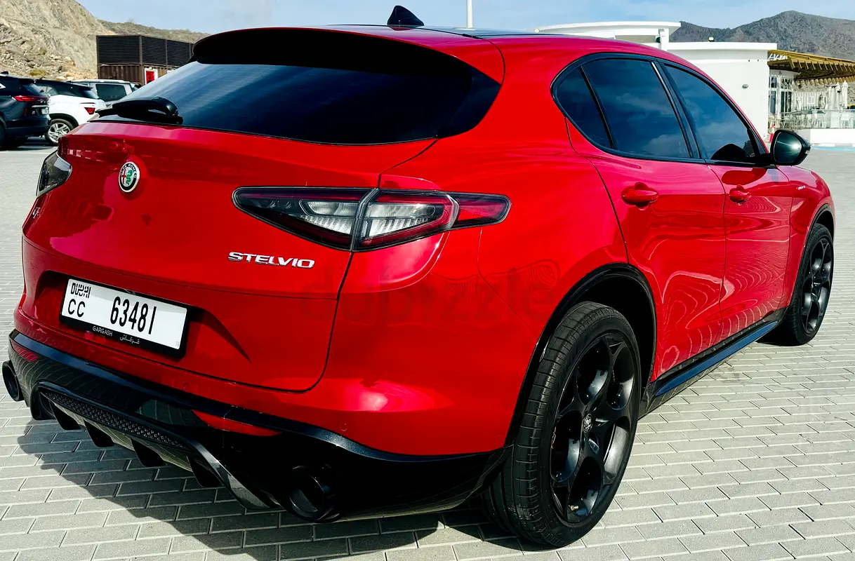 Alfa Romeo Stelvio, 2024 — фото 9 из 10