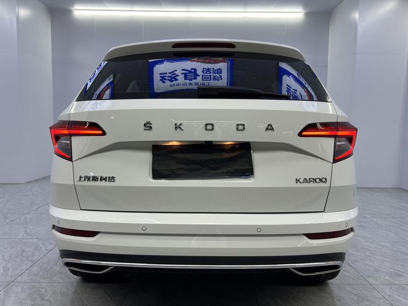 Skoda Karoq, 2024 — фото 5 из 12