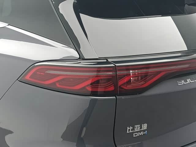 BYD Tang Hybrid/EV, 2024 — фото 7 из 9