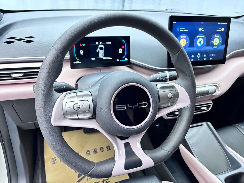 BYD Seagull, 2023 — фото 10 из 12