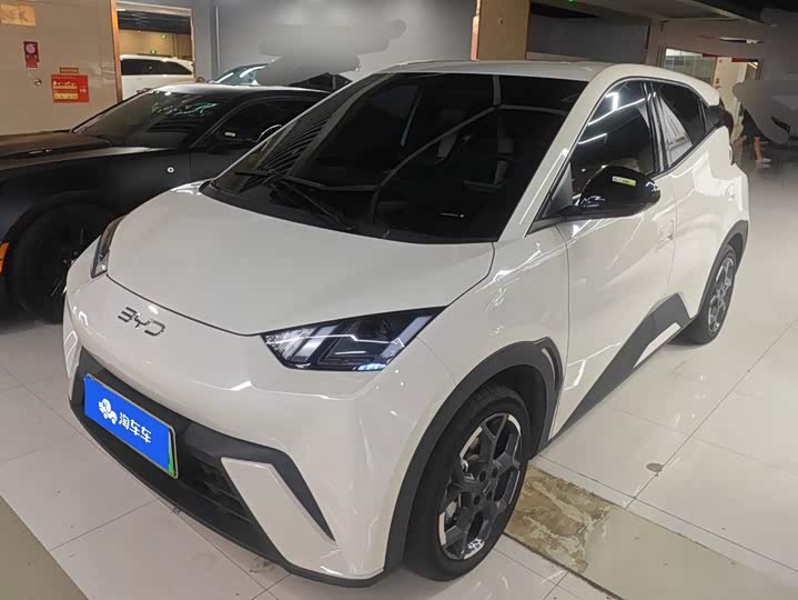 BYD Seagull, 2024 — купить в Рязани под ключ