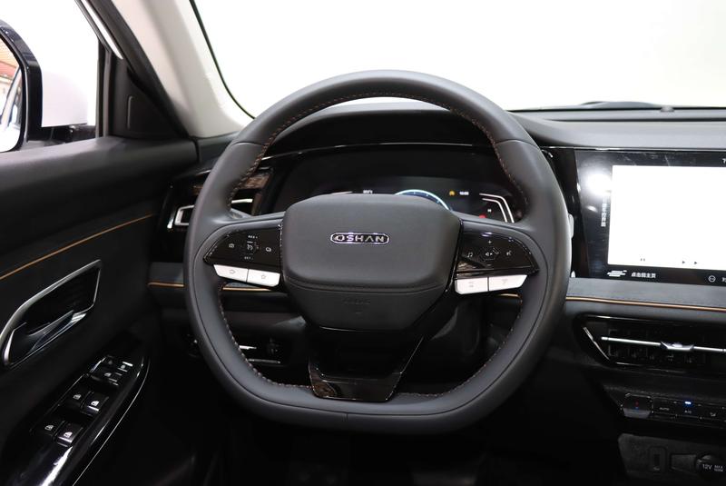 Changan Oshan X7 Plus, 2023 — фото 11 из 12