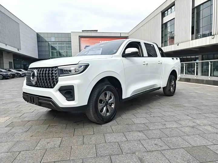 Great Wall Pao, 2025 — купить в Орле под ключ
