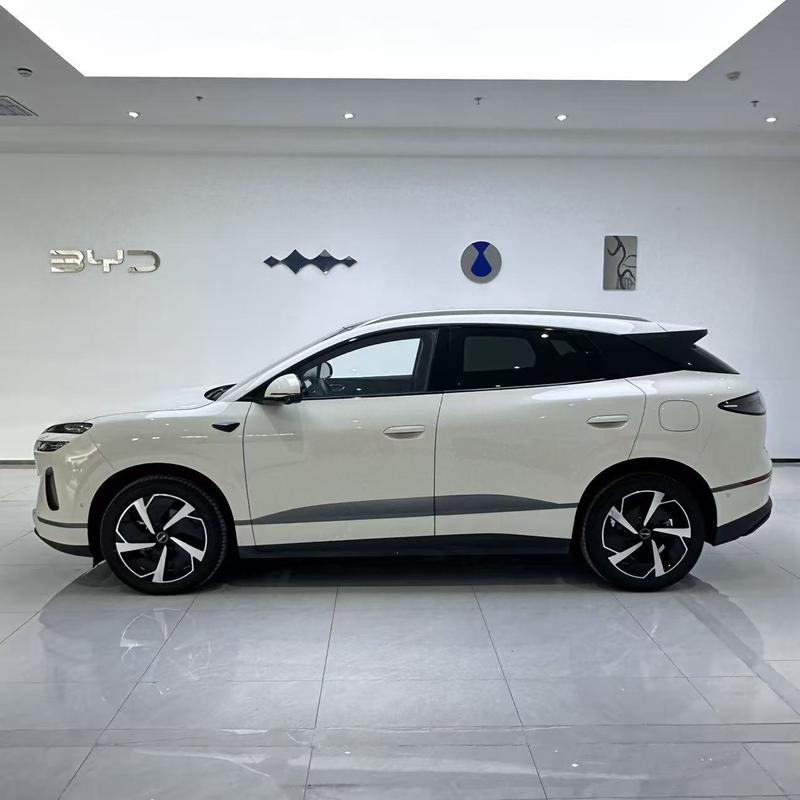 BYD Sea Lion 06 Hybrid/EV, 2025 — фото 3 из 11