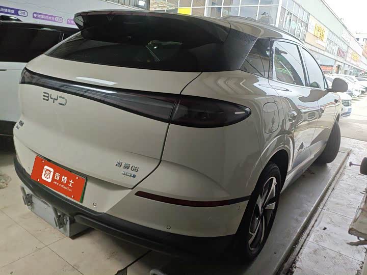 BYD Sea Lion 06 Hybrid/EV, 2025 — фото 4 из 9
