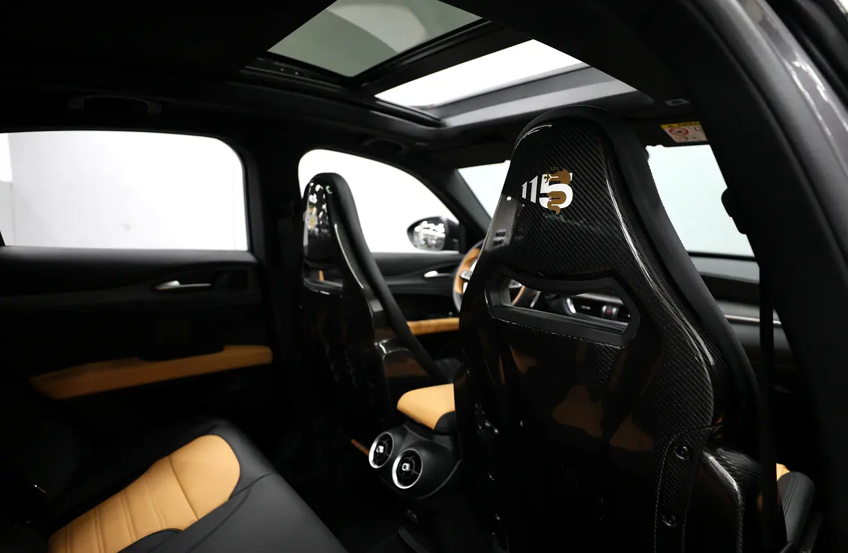 Alfa Romeo Stelvio, 2025 — фото 10 из 10
