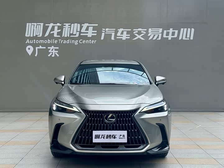 Lexus NX, 2024 — фото 2 из 9