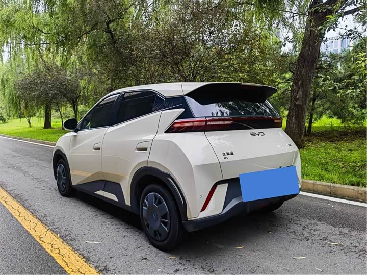 BYD Seagull, 2024 — фото 4 из 9