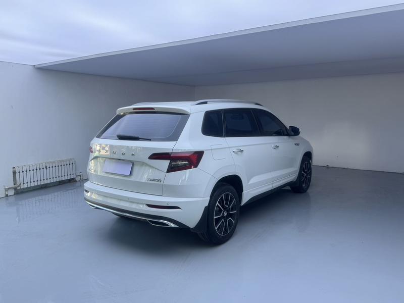 Skoda Karoq, 2024 — фото 6 из 12